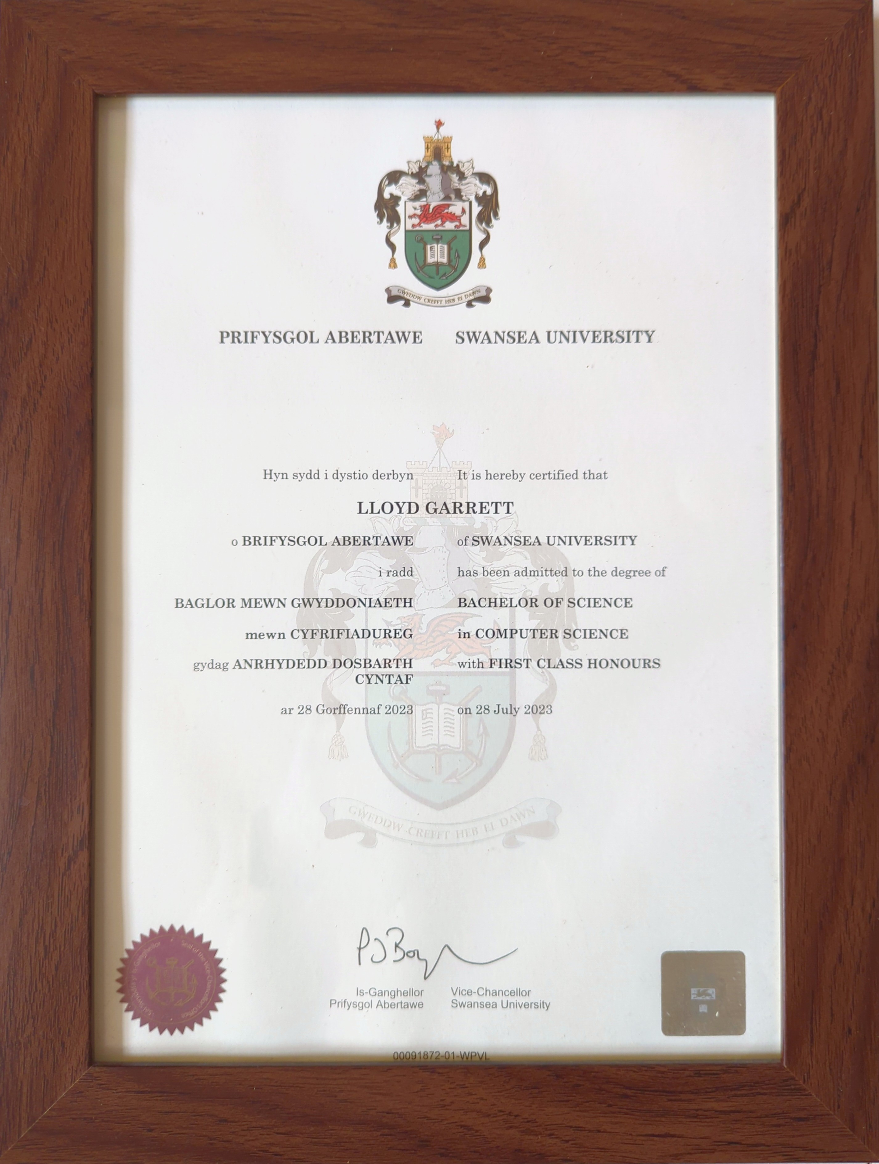 University Degree